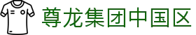 首页-尊龙集团中国官方网站